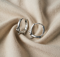 Precious Dachshund Earrings - A Treasure for Dog Mums
