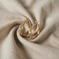 Elegant, shiny hook earrings