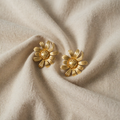 Maja – Elegance of the Clear Collection