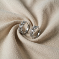Viktoria Clear Silver Earrings