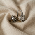 Vintage Gold and Silver Earrings with Clear Crystals