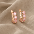 Shiny Classic Hoop Earrings